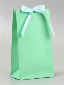 Пакет подарочный с лентой Тиффани, 13×23×7см 4338