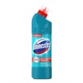 Чистящее средство Domestos Свежесть Атлантики, 500мл 4234 - фото 9579