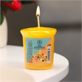 Свеча ароматическая Fruit fusion Фруктовое слияние, 5*4,5см 4313 - фото 9775
